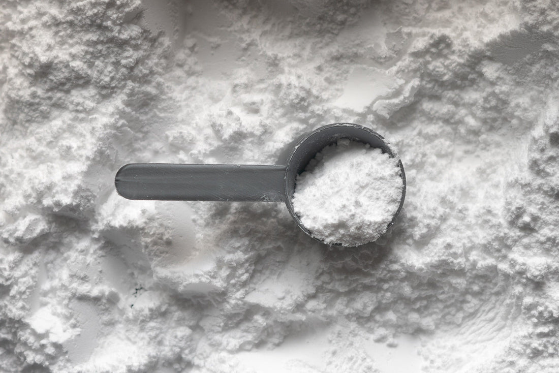 Close-up of glycine powder in a measuring scoop