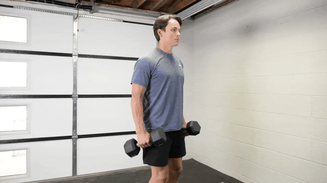 Man standing in a gym holding two dumbbells for hammer curls