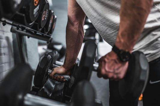 Muscular lifter training with weights in a gym
