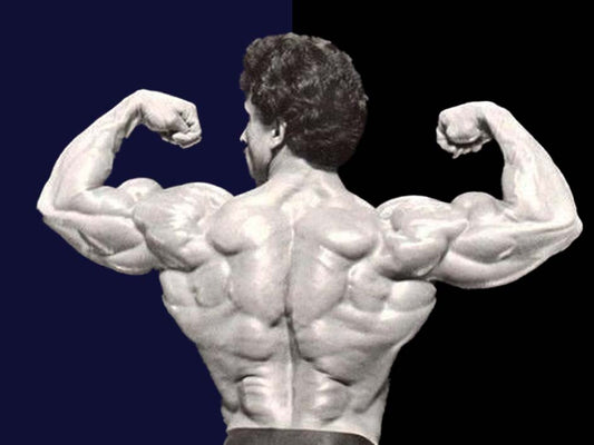 Samir Bannout displaying his famously defined lower back in a rear double-biceps bodybuilding pose