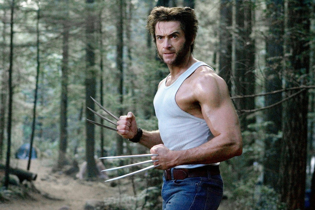Wolverine in a forest with claws extended