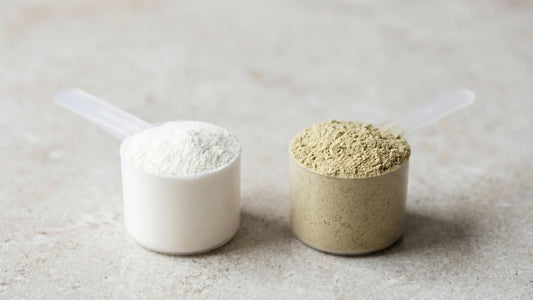 Two measuring scoops of whey and plant-based protein powder shown side by side