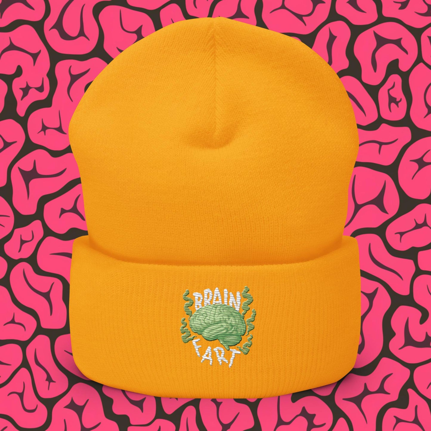 Brain Fart Cuffed Beanie Next Cult Brand