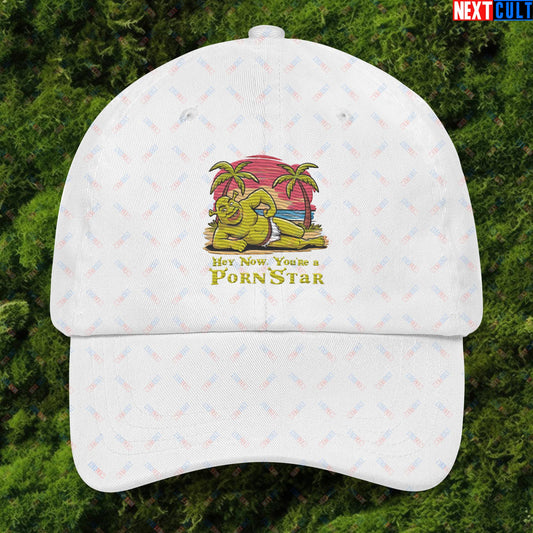 Hey Now, You're a Pornstar Shrek Smash Mouth Funny Meme Cartoon Dad hat Next Cult Brand