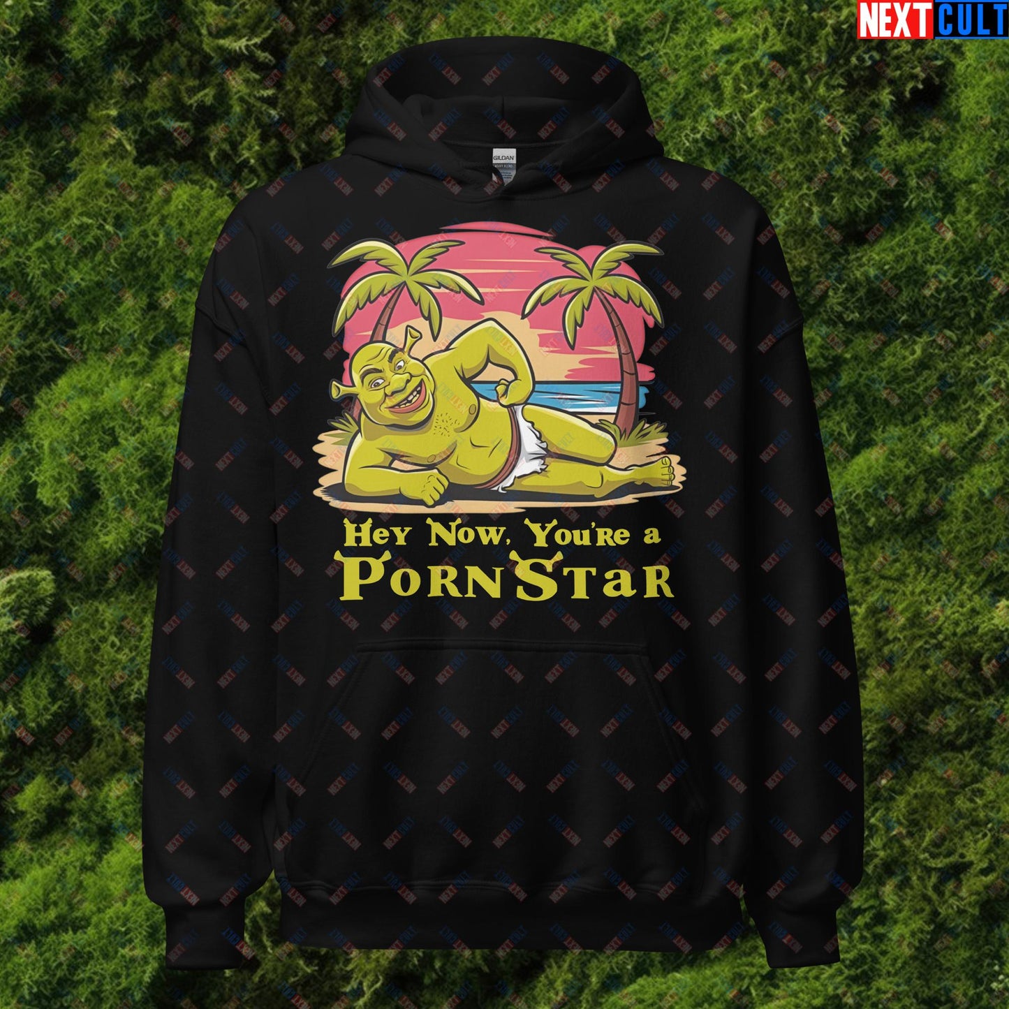 Hey Now, You're a Pornstar Shrek Smash Mouth Funny Meme Cartoon Unisex Hoodie Black Hoodies Movies Shrek Next Cult Brand