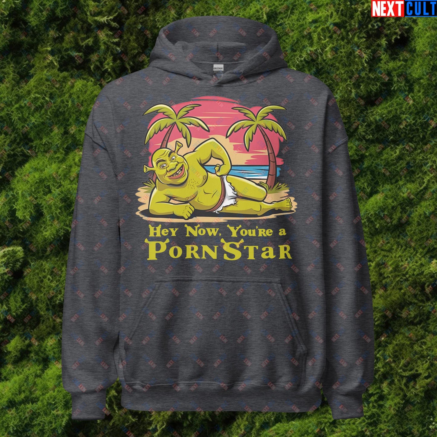 Hey Now, You're a Pornstar Shrek Smash Mouth Funny Meme Cartoon Unisex Hoodie Next Cult Brand