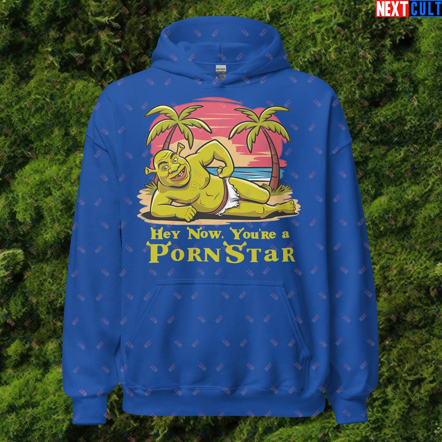 Hey Now, You're a Pornstar Shrek Smash Mouth Funny Meme Cartoon Unisex Hoodie Royal Hoodies Movies Shrek Next Cult Brand