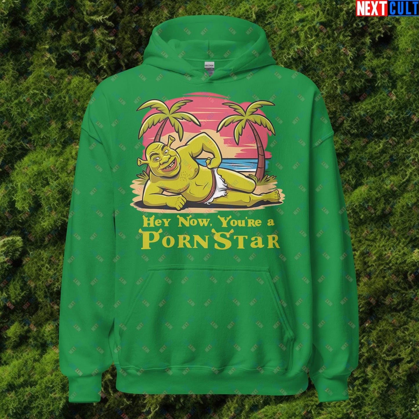 Hey Now, You're a Pornstar Shrek Smash Mouth Funny Meme Cartoon Unisex Hoodie Irish Green Hoodies Movies Shrek Next Cult Brand