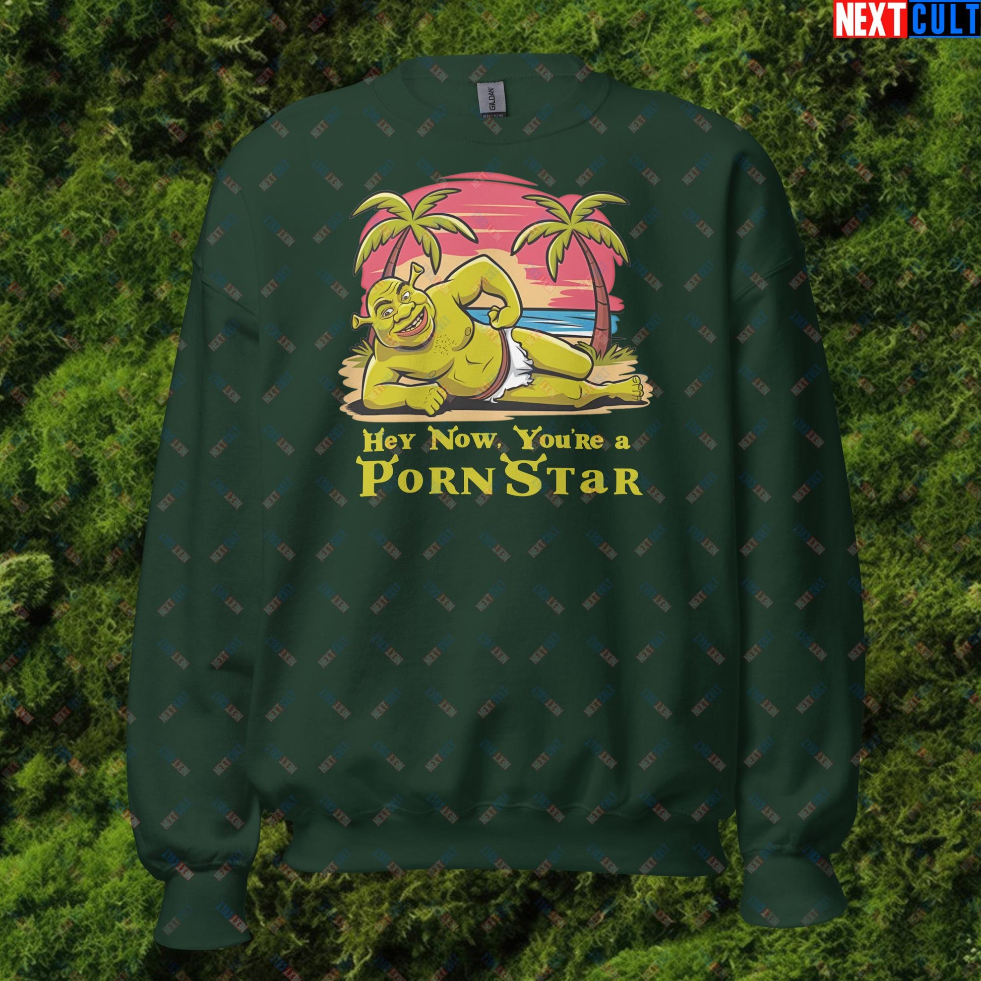 Hey Now, You're a Pornstar Shrek Smash Mouth Funny Meme Cartoon Unisex Sweatshirt Forest Green Sweatshirts Movies Shrek Next Cult Brand