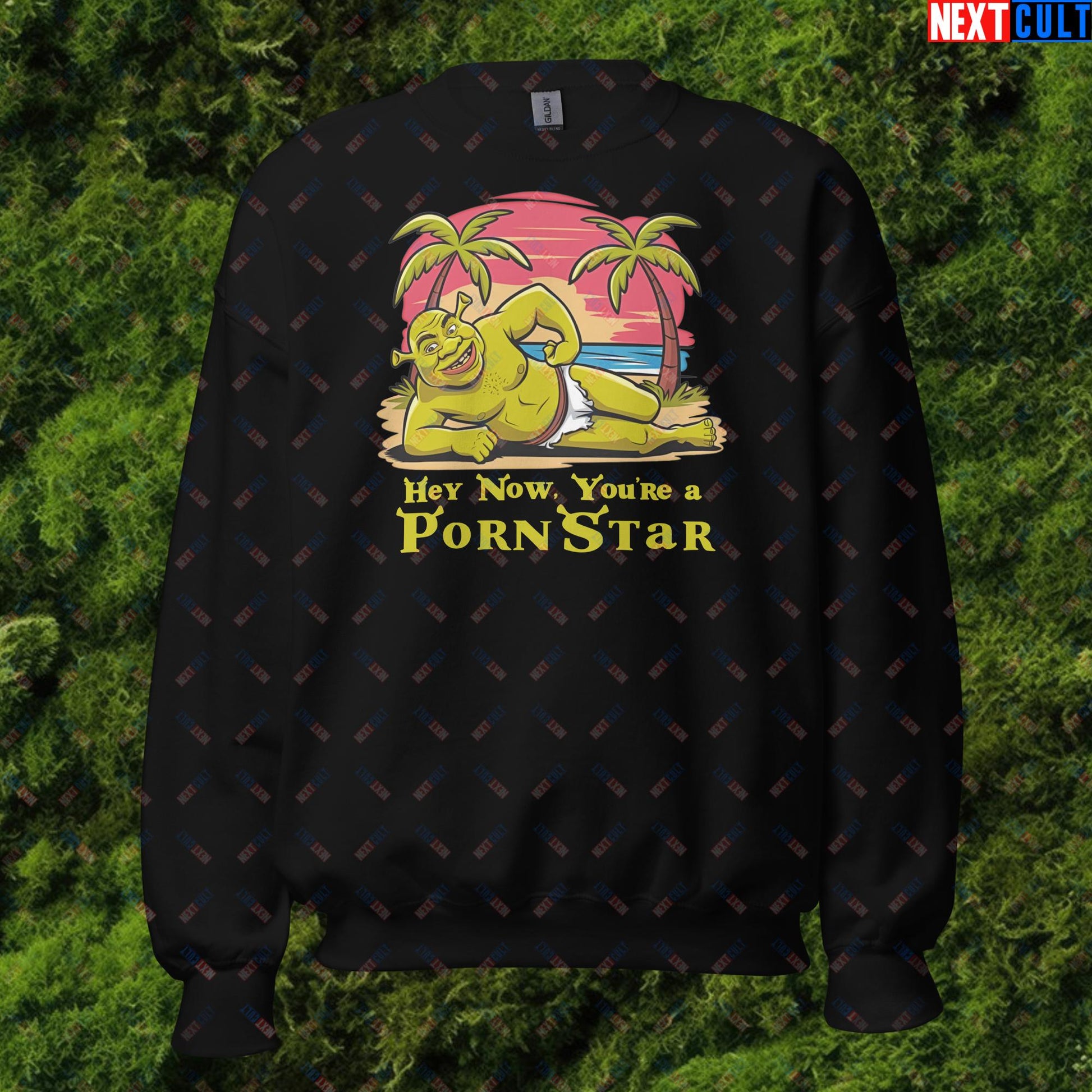 Hey Now, You're a Pornstar Shrek Smash Mouth Funny Meme Cartoon Unisex Sweatshirt Next Cult Brand