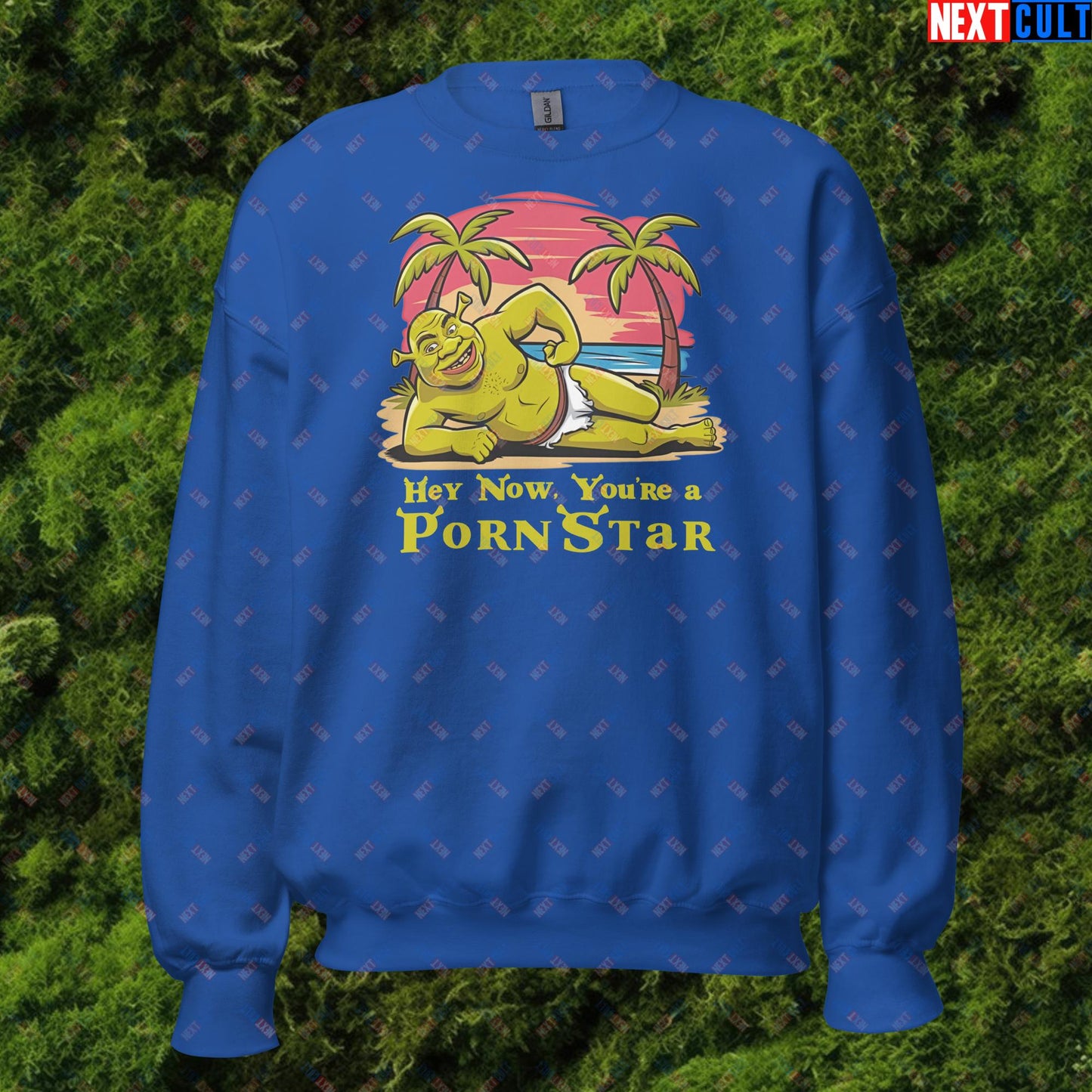 Hey Now, You're a Pornstar Shrek Smash Mouth Funny Meme Cartoon Unisex Sweatshirt Royal Sweatshirts Movies Shrek Next Cult Brand