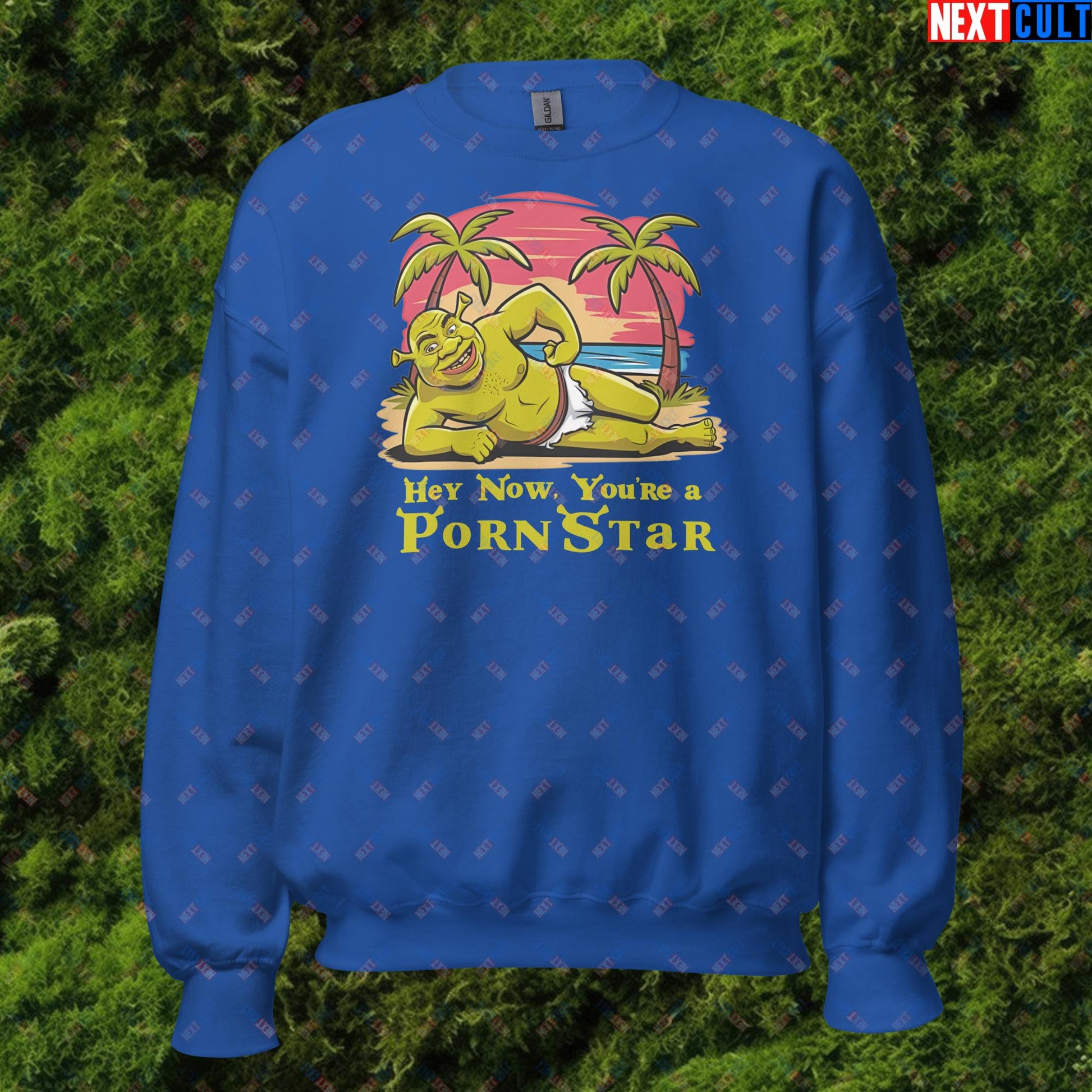 Hey Now, You're a Pornstar Shrek Smash Mouth Funny Meme Cartoon Unisex Sweatshirt Royal Sweatshirts Movies Shrek Next Cult Brand