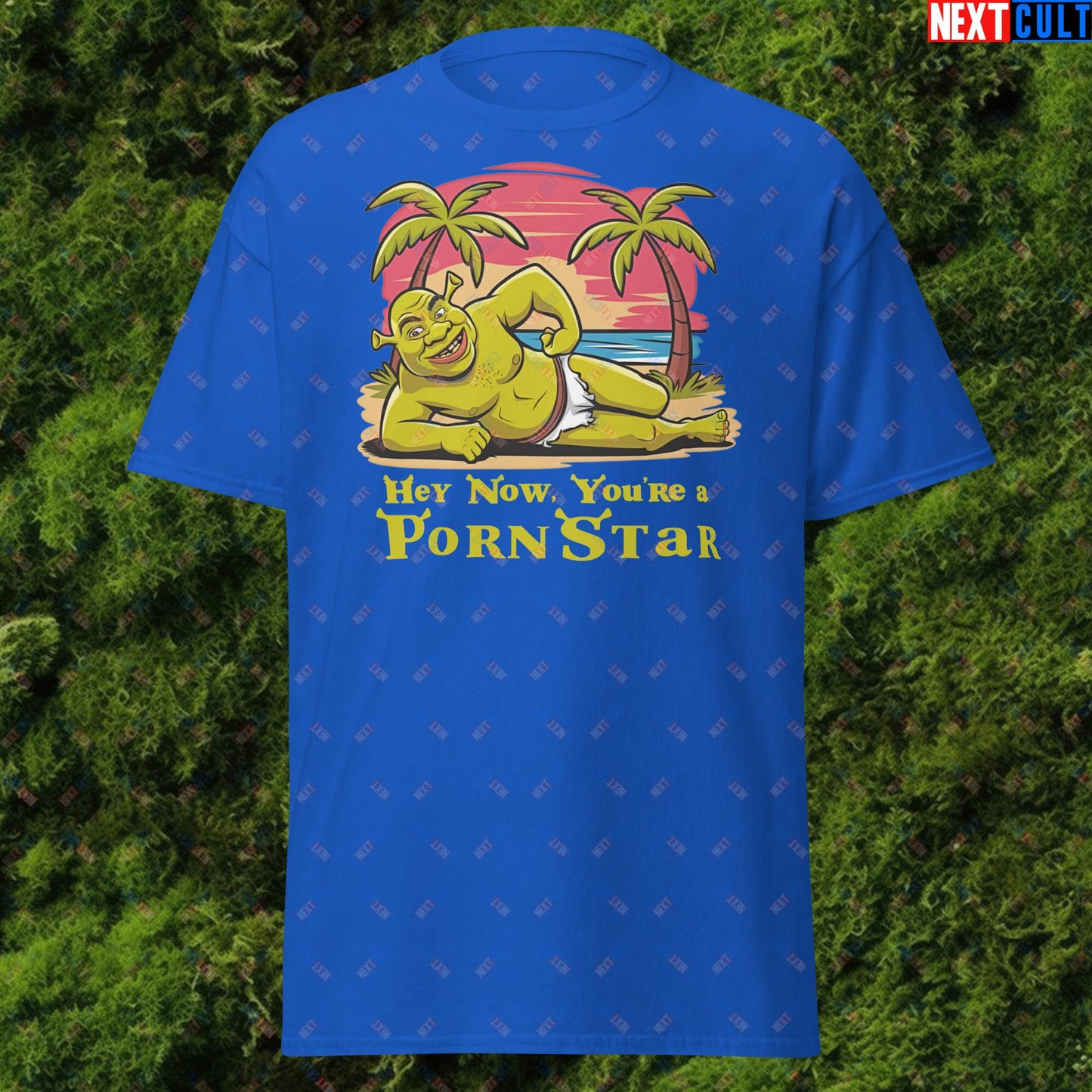 Hey Now, You're a Pornstar Shrek Smash Mouth Funny Meme Cartoon Unisex tee Royal T-shirts Movies Shrek Next Cult Brand