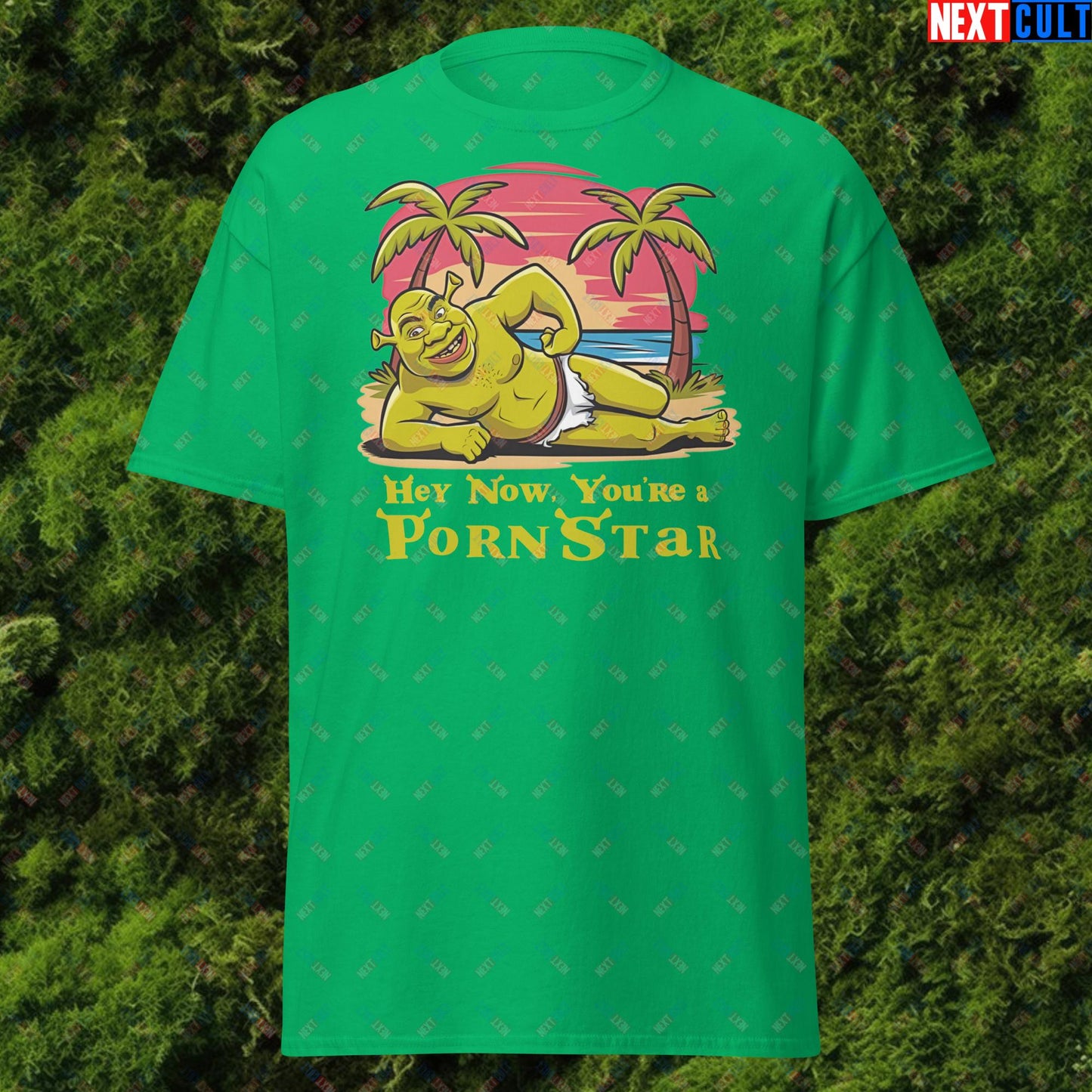 Hey Now, You're a Pornstar Shrek Smash Mouth Funny Meme Cartoon Unisex tee Irish Green T-shirts Movies Shrek Next Cult Brand