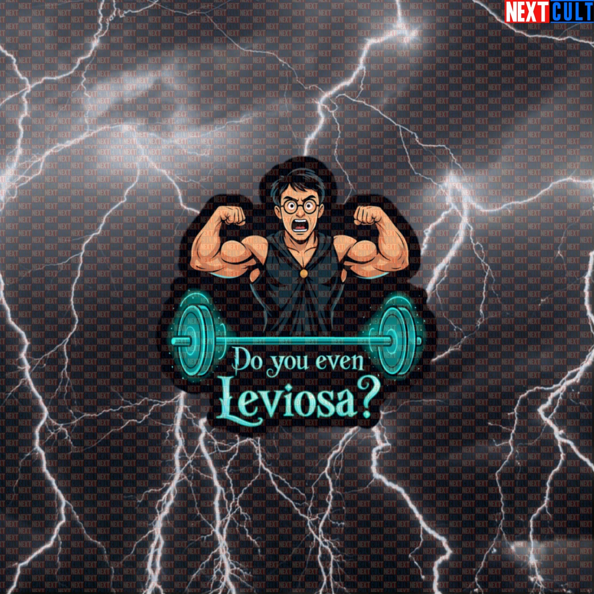 You're A Lifter Harry Gym Sticker | Do You Even Leviosa? Funny Workout Decal Default Title Bodybuilding Books Films Fitness Gym Harry Potter Powerlifting Workout Next Cult Brand