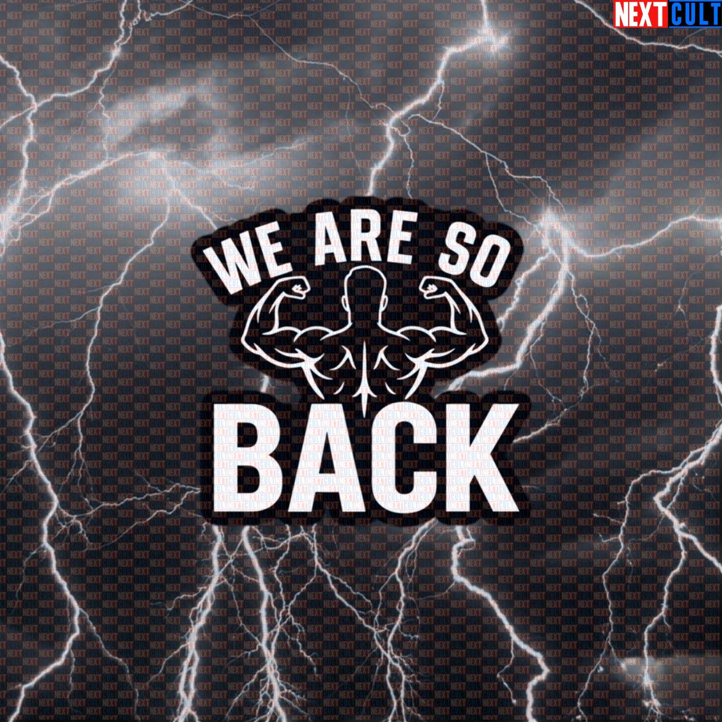 We Are So Back Gym Sticker | Funny Back Workout & Bodybuilding Decal for Lifters Default Title Bodybuilding Fitness Gym Workout Next Cult Brand