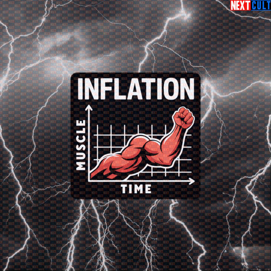 Funny Gym Sticker - Muscle Inflation Graph Meme Decal | Gym Economics Workout Sticker Default Title Stickers Next Cult Brand