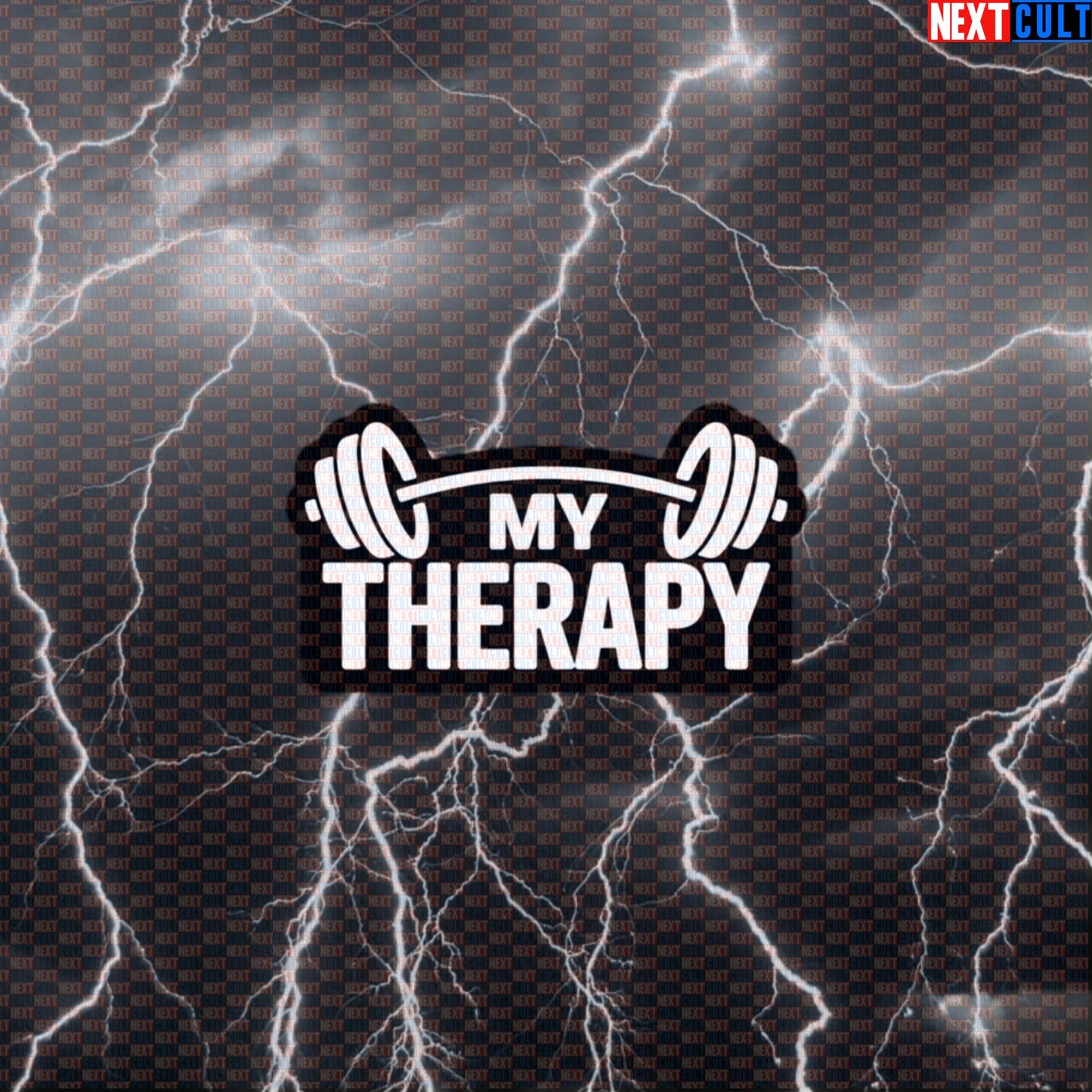 My Therapy Funny Gym Sticker – Workout Fitness Lifting Bodybuilding Powerlifting Meme Decal Default Title Stickers Next Cult Brand