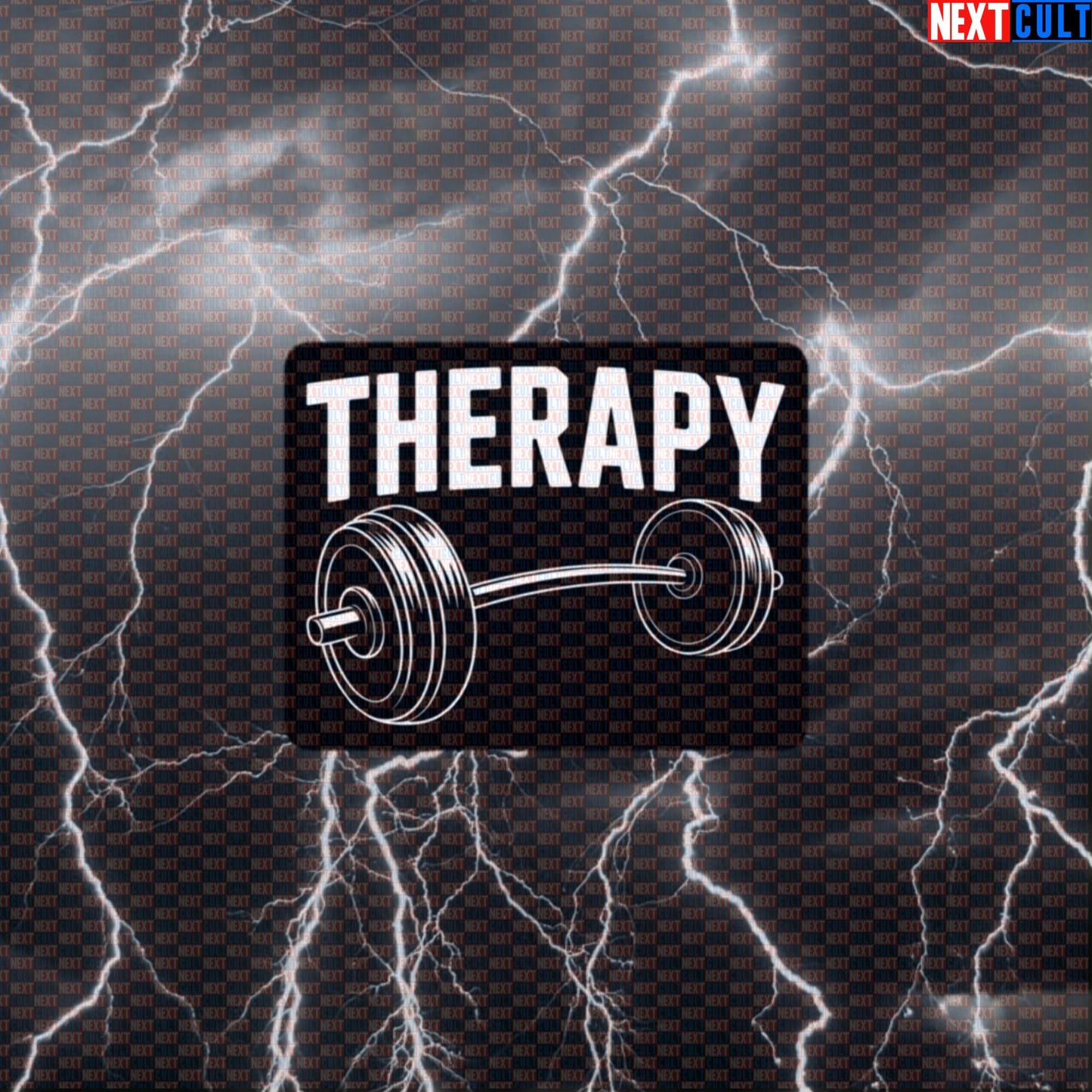 Therapy Barbell Funny Gym Sticker – Workout Fitness Lifting Bodybuilding Powerlifting Meme Decal Default Title Stickers Next Cult Brand