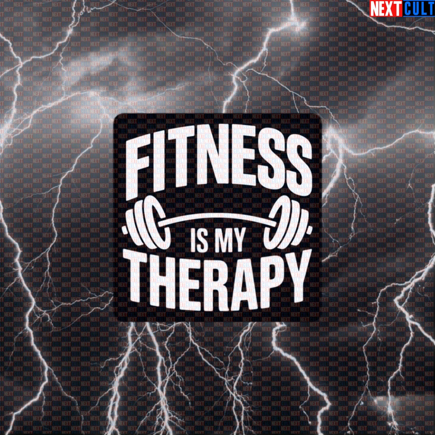 Fitness Is My Therapy Funny Gym Sticker – Workout Fitness Lifting Bodybuilding Powerlifting Meme Decal Default Title Bodybuilding Fitness Gym Powerlifting Workout Next Cult Brand