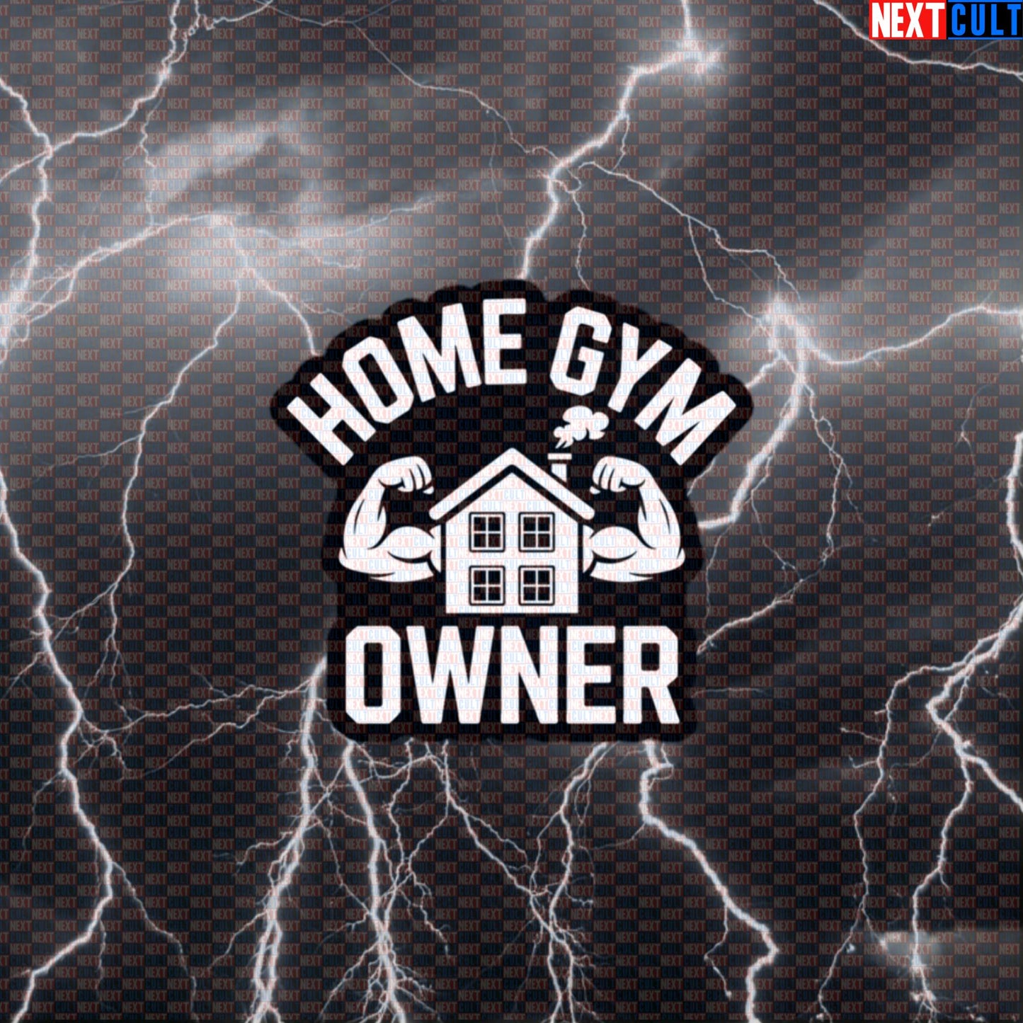 Funny Home Gym Owner Gym Sticker Decal for Garage Gym Basement Gym Water Bottles Laptops Gym Gear Default Title Stickers Next Cult Brand