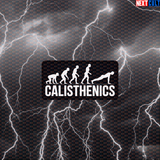 Calisthenics Evolution Funny Gym Sticker Decal for Water Bottles Laptops Bodyweight Workout Fans Default Title Stickers Next Cult Brand