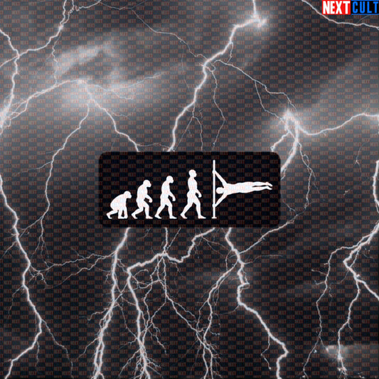 Human Flag Funny Gym Sticker Calisthenics Decal Workout Sticker for Water Bottles Laptops Gym Gear Default Title Calisthenics Fitness Gym Workout Next Cult Brand