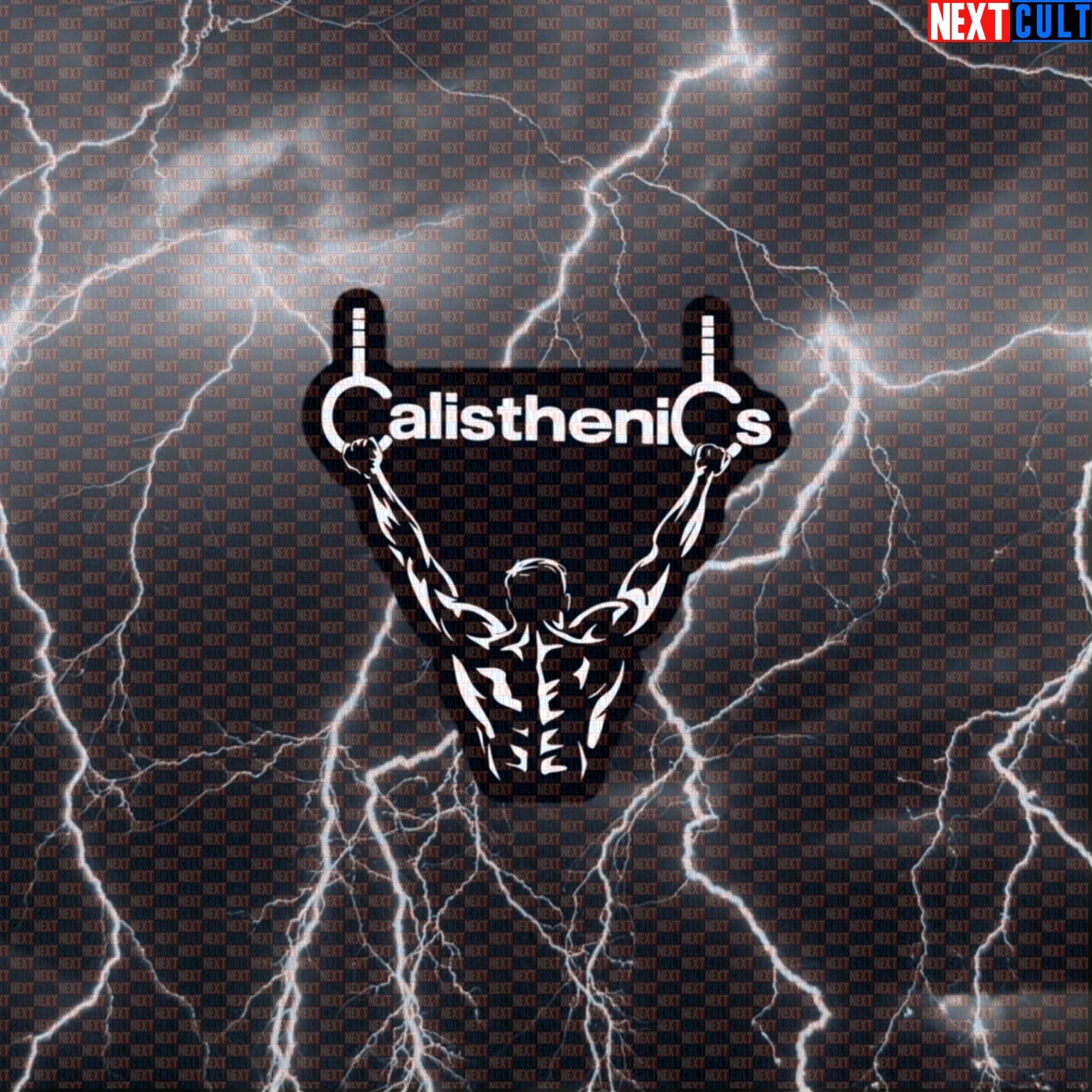 Funny Calisthenics Gym Sticker Decal for Water Bottles Laptops Street Workout and Fitness Lovers Default Title Stickers Next Cult Brand