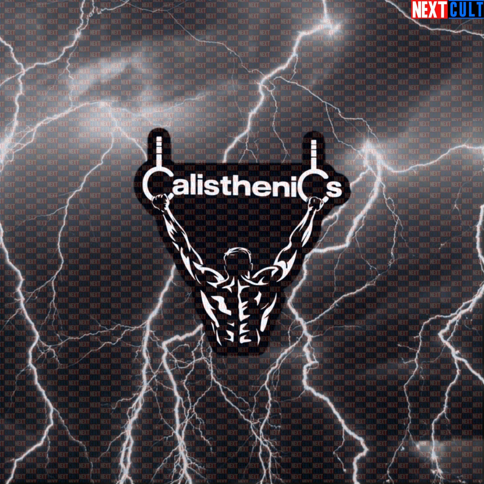 Funny Calisthenics Gym Sticker Decal for Water Bottles Laptops Street Workout and Fitness Lovers Default Title Stickers Next Cult Brand