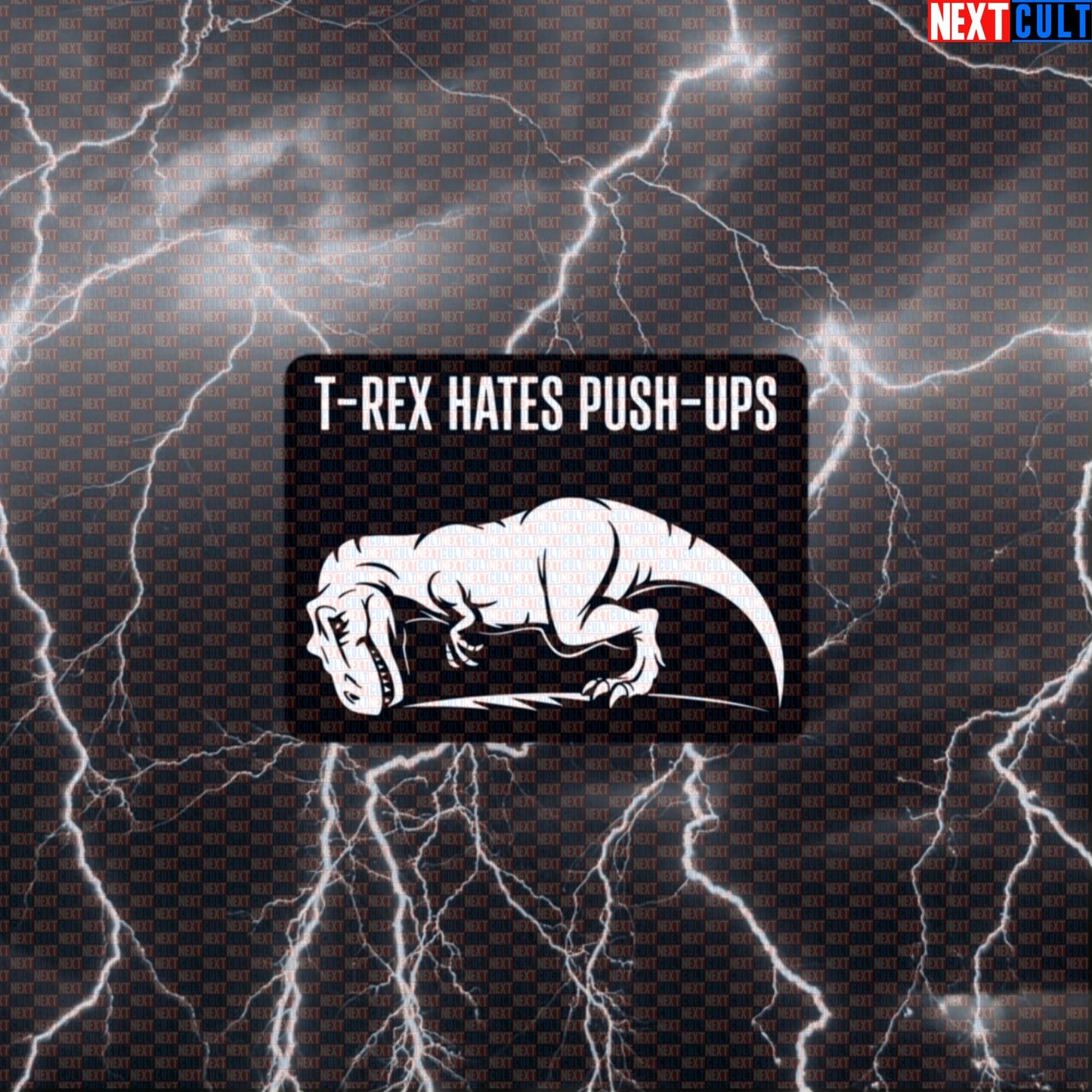 T-Rex Hates Push Ups Funny Gym Sticker Decal for Water Bottles Laptops Calisthenics Workout Fans Default Title Bodybuilding Calisthenics Fitness Gym Workout Next Cult Brand