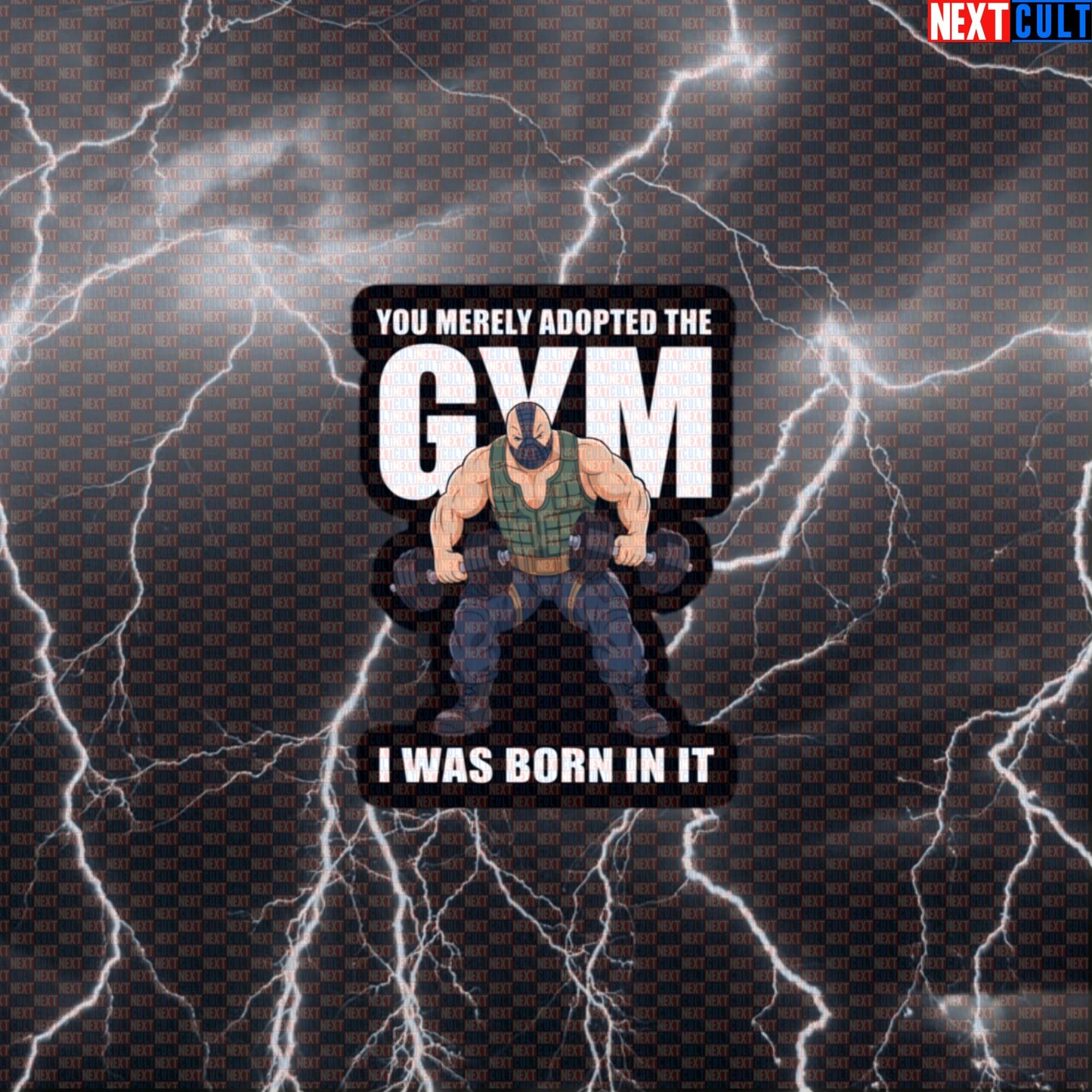 You Merely Adopted the Gym Bane Meme Funny Gym Sticker Decal for Water Bottles Laptops Gym Gear Default Title Bane Bodybuilding Films Fitness Gym Superheroes Workout Next Cult Brand