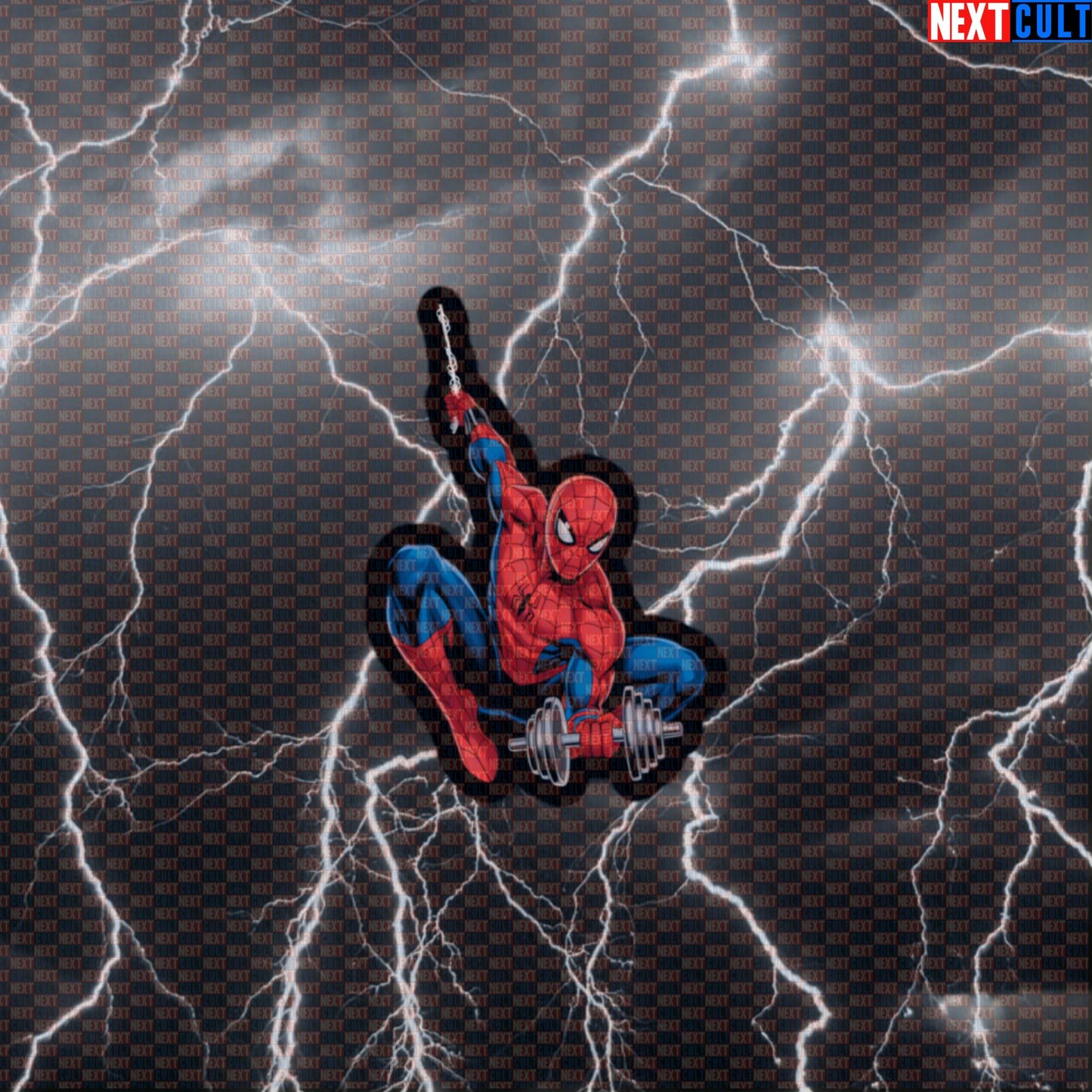 Spider-Man Funny Gym Sticker Lifting Dumbbells Workout Sticker Fitness Bodybuilding Powerlifting Meme Decal Default Title Stickers Next Cult Brand