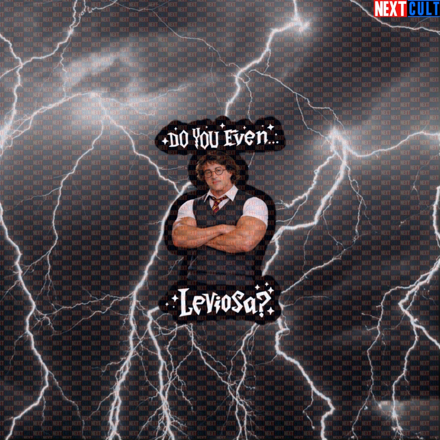 Do You Even Leviosa Funny Gym Sticker Rocky Potter Harry Potter Sylvester Stallone Workout Sticker Decal Default Title Stickers Next Cult Brand