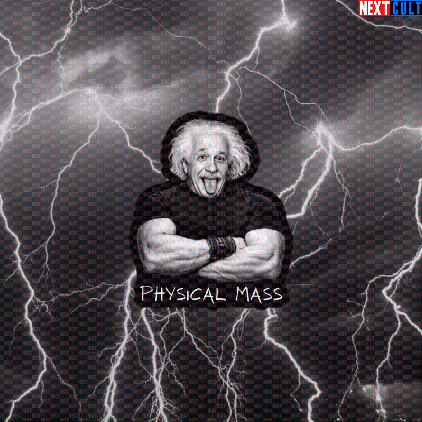 Physical Mass Funny Gym Sticker Albert Einstein Science Based Lifting Bro Science Workout Sticker Decal Default Title Stickers Next Cult Brand