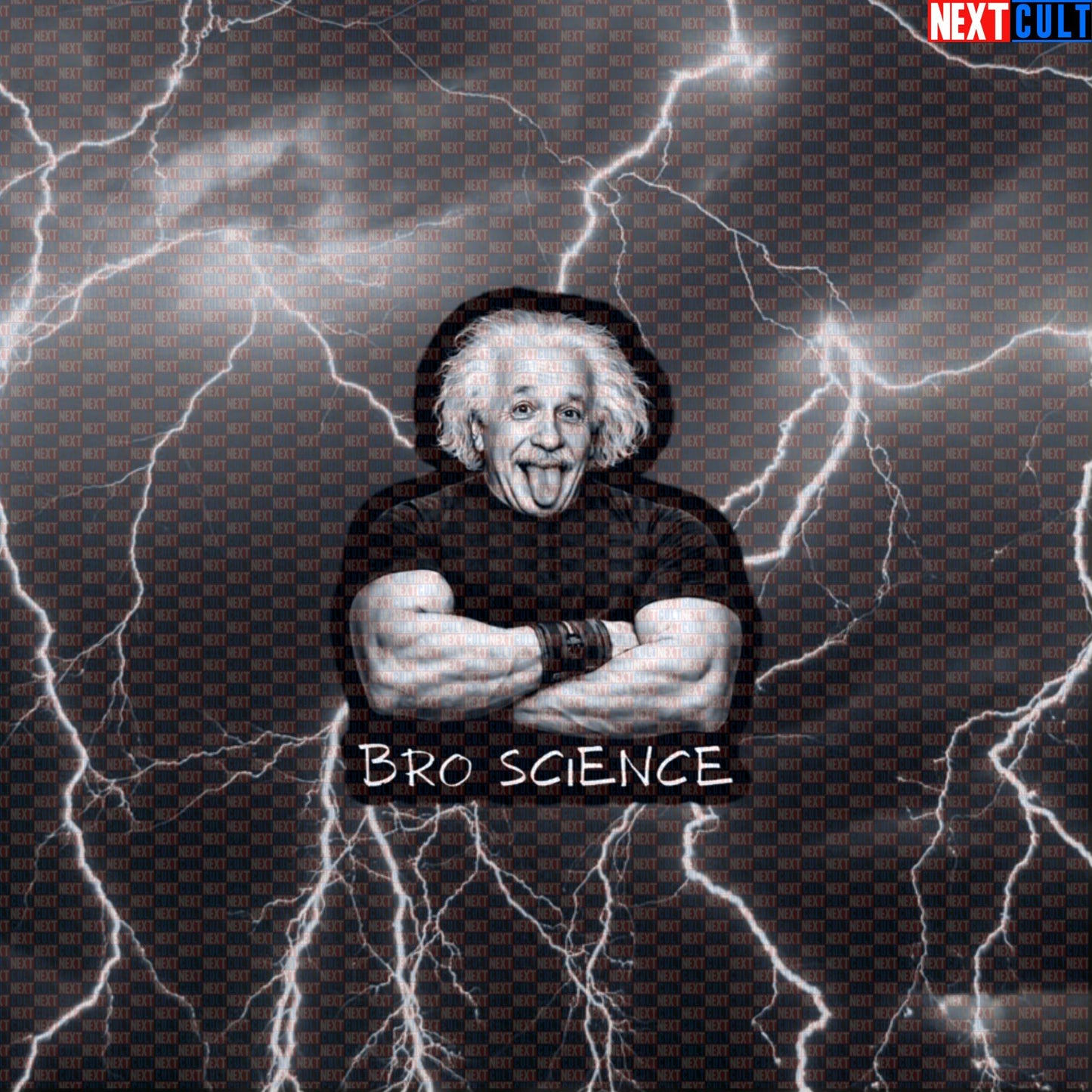 Bro Science Funny Gym Sticker Albert Einstein Science Based Lifting Workout Sticker Decal Default Title Stickers Next Cult Brand