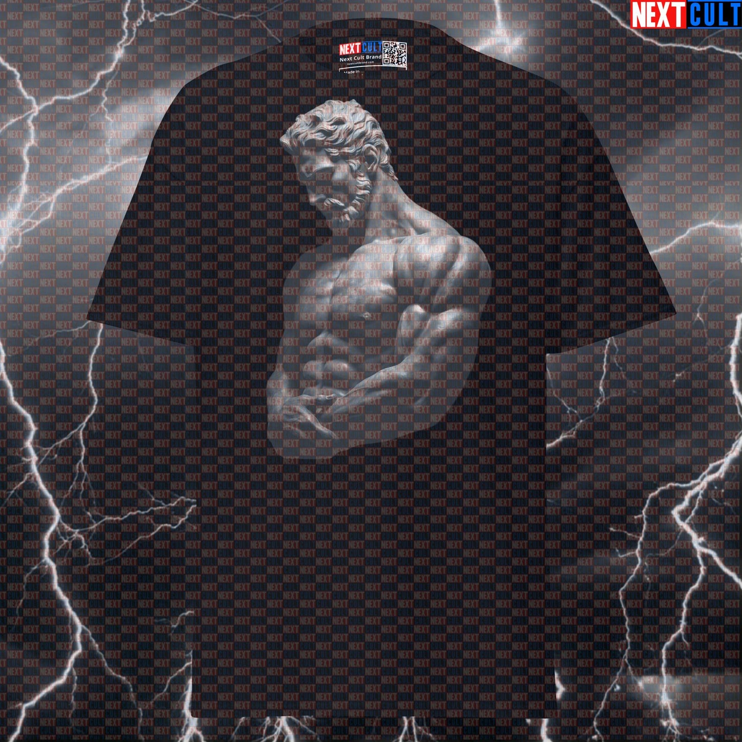Premium Stoic Bodybuilding Graphic Tee - Funny Gym Meme Shirt & Sigma Pump Cover T-shirts Ancient Greece Fitness Gym Pump Cover Stoicism Workout Next Cult Brand