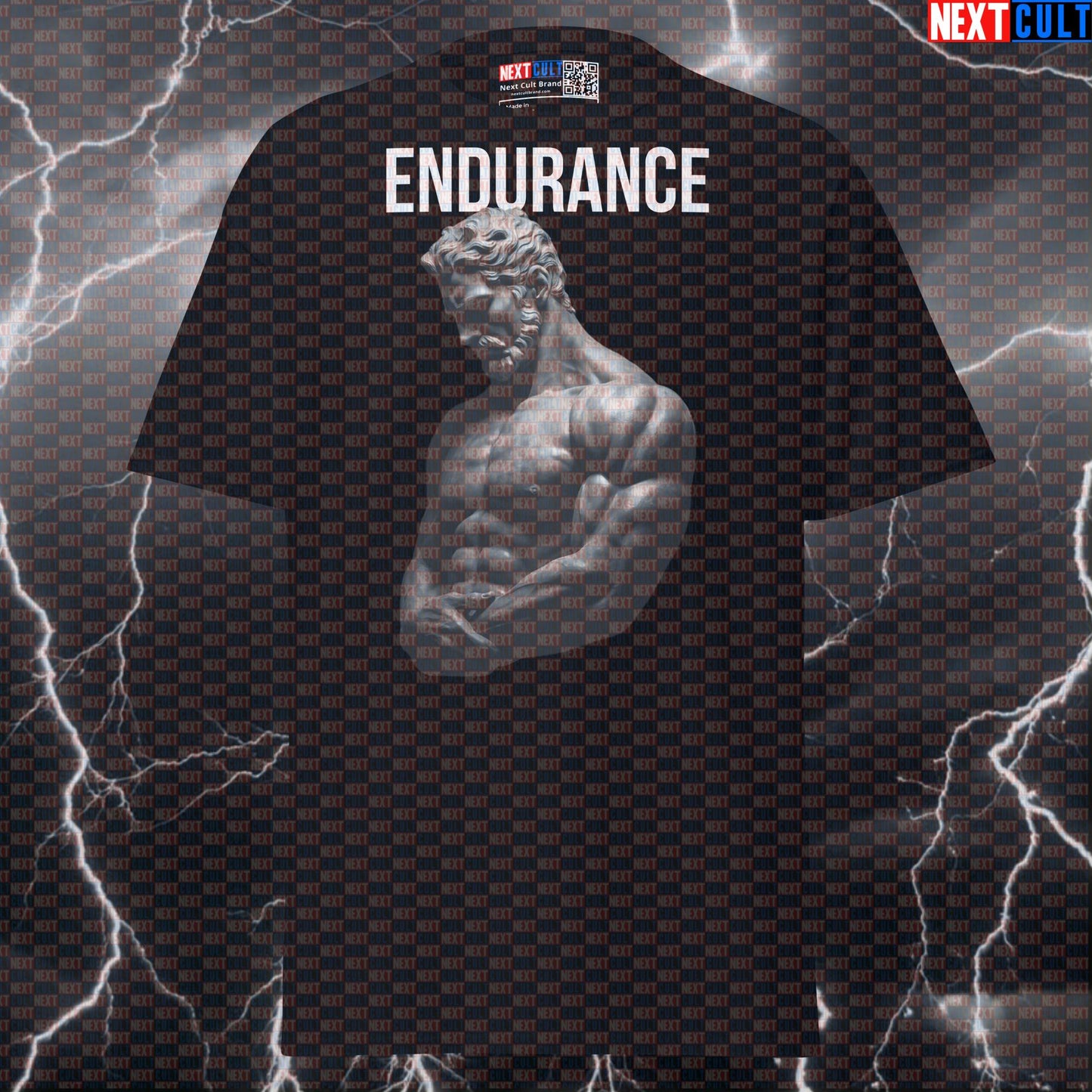 Endurance Stoic Sigma Greek God Marble Sculpture Graphic Tee - Funny Gym Meme T-Shirt & Pump Cover Top T-shirts Ancient Greece Fitness Gym Pump Cover Stoicism Workout Next Cult Brand
