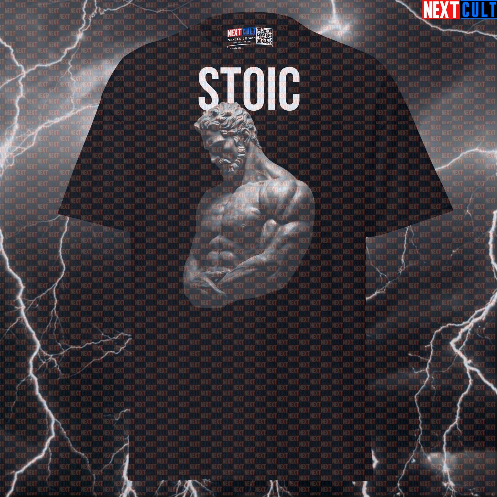 Stoic Marble Sculpture Gym Tee: Funny Bodybuilding & Stoicism Graphic T-Shirt for Lifters T-shirts Ancient Greece Fitness Gym Pump Cover Stoicism Workout Next Cult Brand