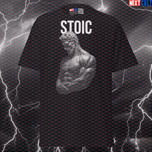Stoic Marble Sculpture Gym Tee: Funny Bodybuilding & Stoicism Graphic T-Shirt for Lifters T-shirts Ancient Greece Fitness Gym Pump Cover Stoicism Workout Next Cult Brand