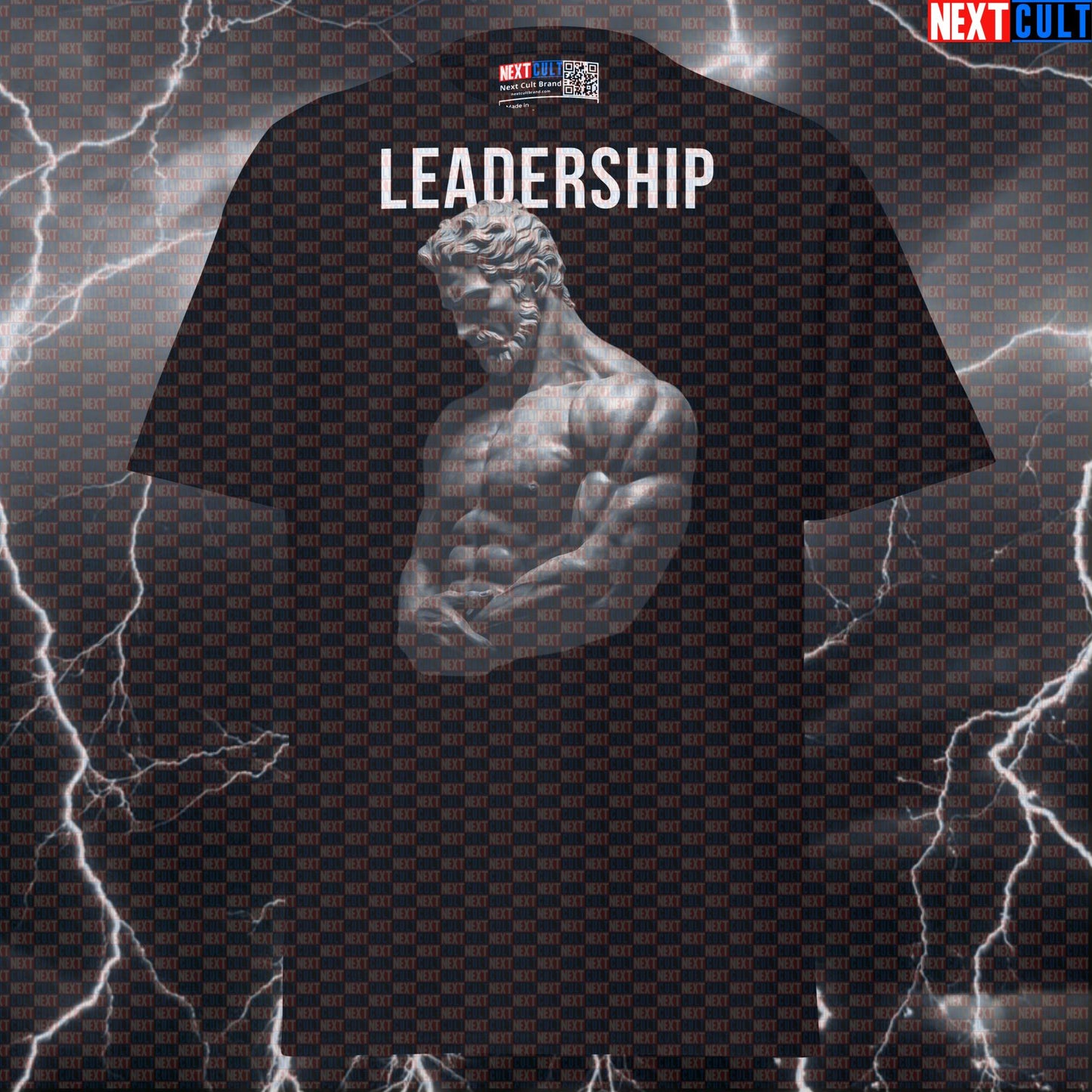 Leadership Stoic Sigma Greek God Marble Statue T-Shirt - Funny Gym Meme Tee & Bodybuilding Pump Cover Top T-shirts Ancient Greece Fitness Gym Pump Cover Stoicism Workout Next Cult Brand