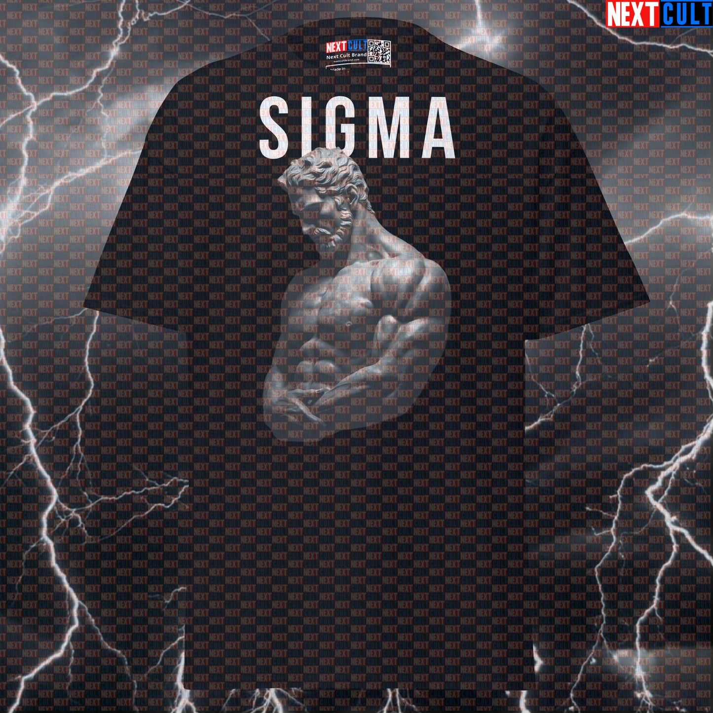 Sigma Stoic Gym Shirt - Funny Bodybuilding Tee for Lifters & Greek God Pump Cover T-shirts Ancient Greece Fitness Gym Pump Cover Stoicism Workout Next Cult Brand