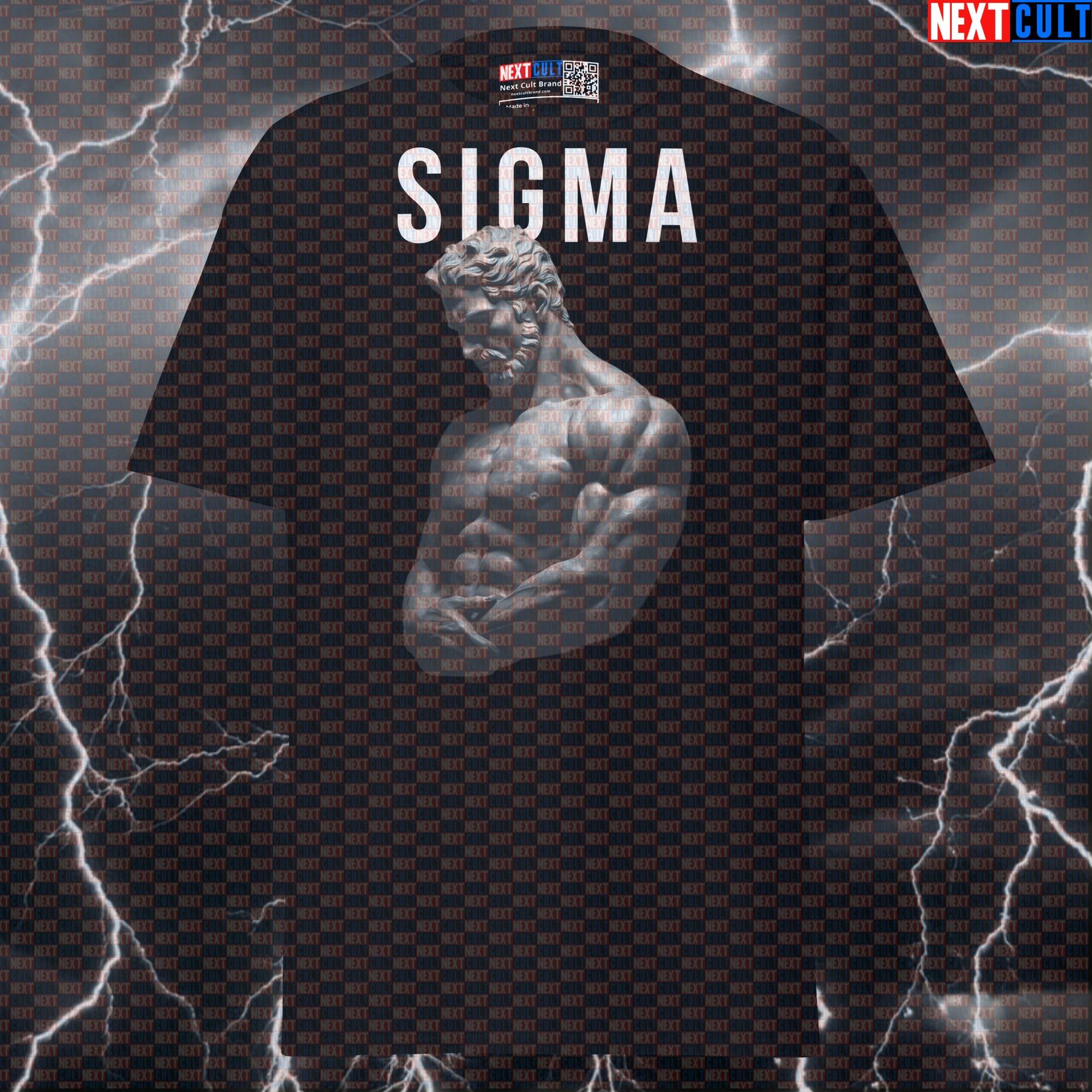 Sigma Stoic Gym Shirt - Funny Bodybuilding Tee for Lifters & Greek God Pump Cover T-shirts Ancient Greece Fitness Gym Pump Cover Stoicism Workout Next Cult Brand