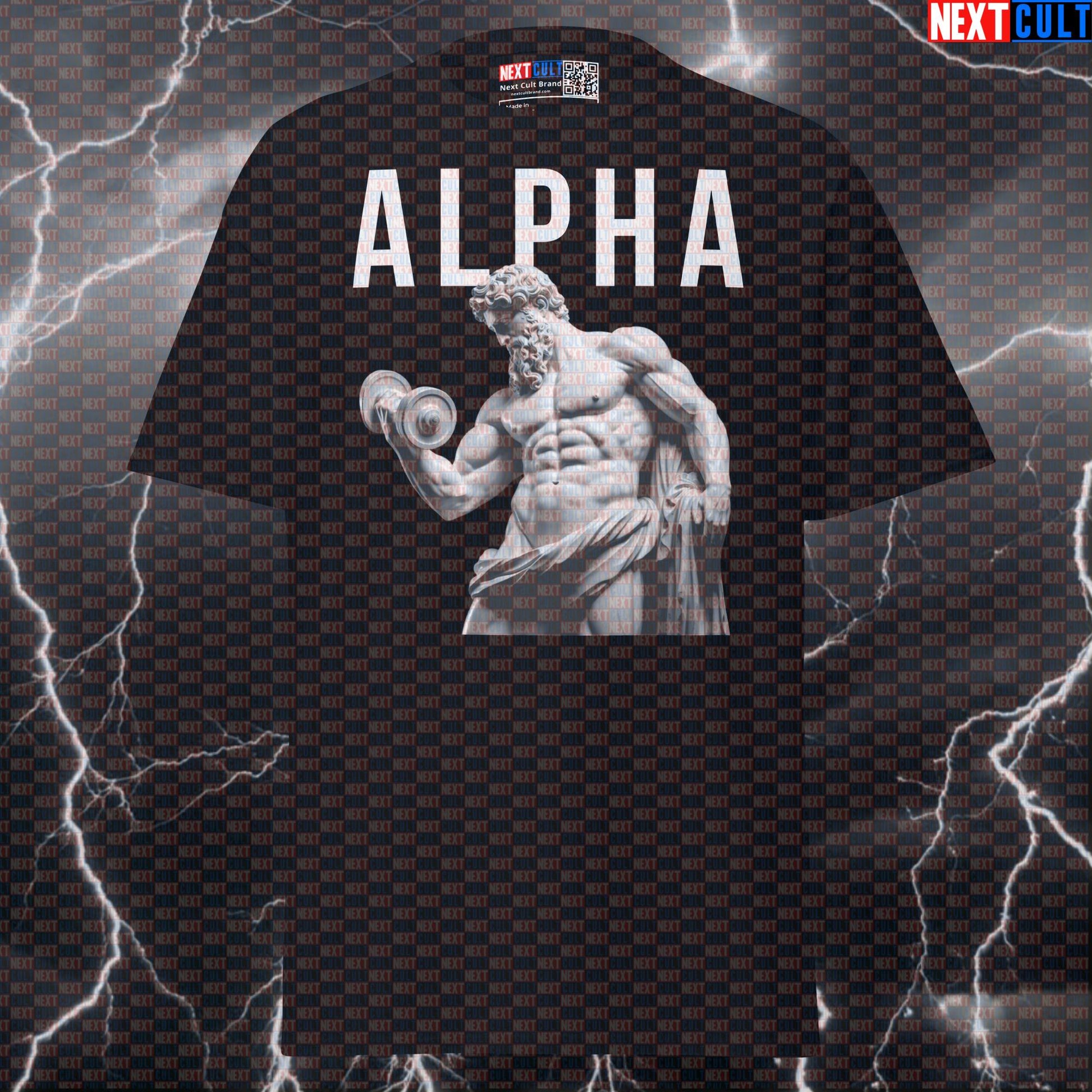Alpha Stoic Bodybuilder Tee: Funny Sigma Gym Meme Pump Cover Shirt for Lifters T-shirts Ancient Greece Bodybuilding Fitness Gym Pump Cover Stoicism Workout Next Cult Brand