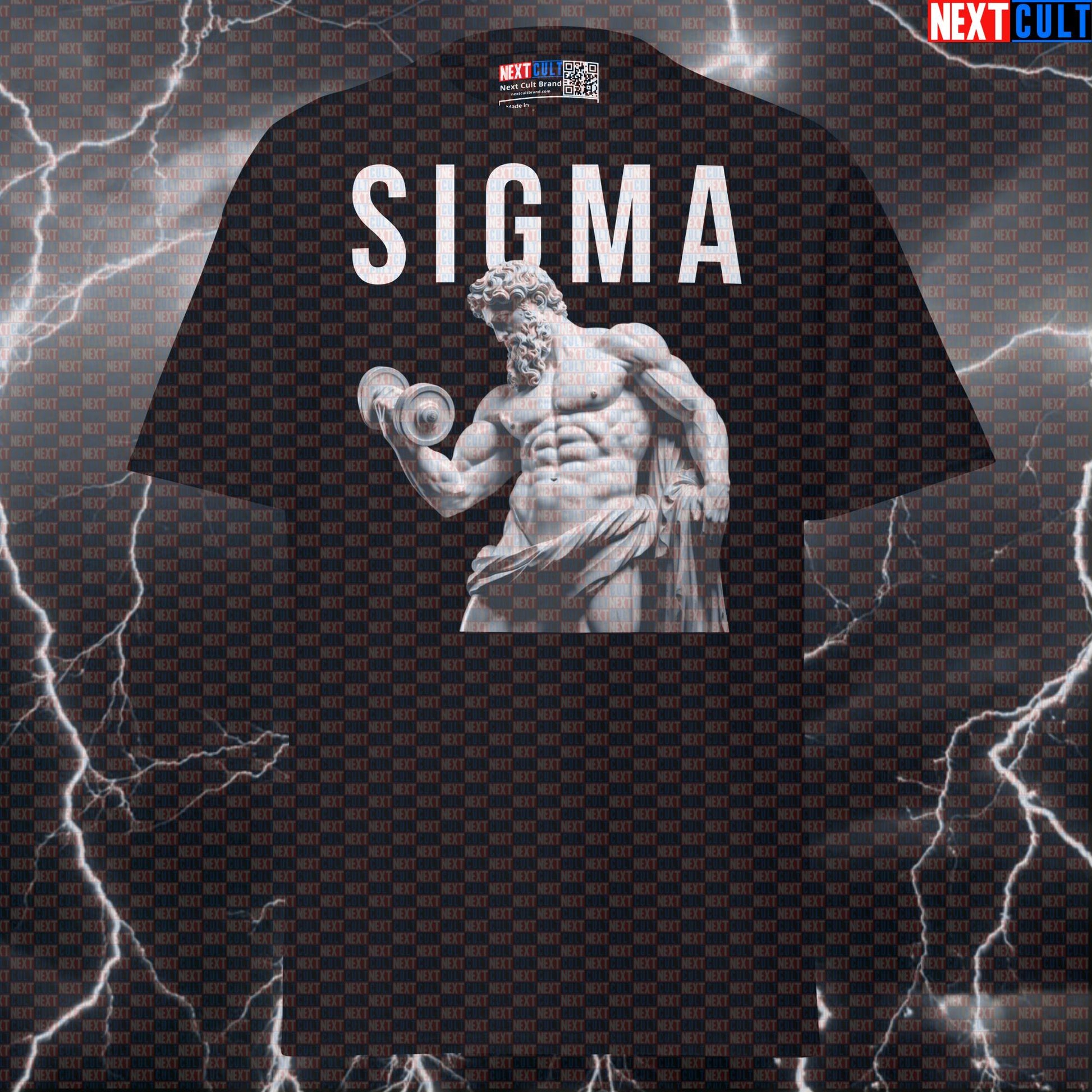 Sigma Stoic Bodybuilder Tee - Funny Gym Meme Pump Cover Shirt for Lifters T-shirts Ancient Greece Bodybuilding Fitness Gym Pump Cover Stoicism Workout Next Cult Brand