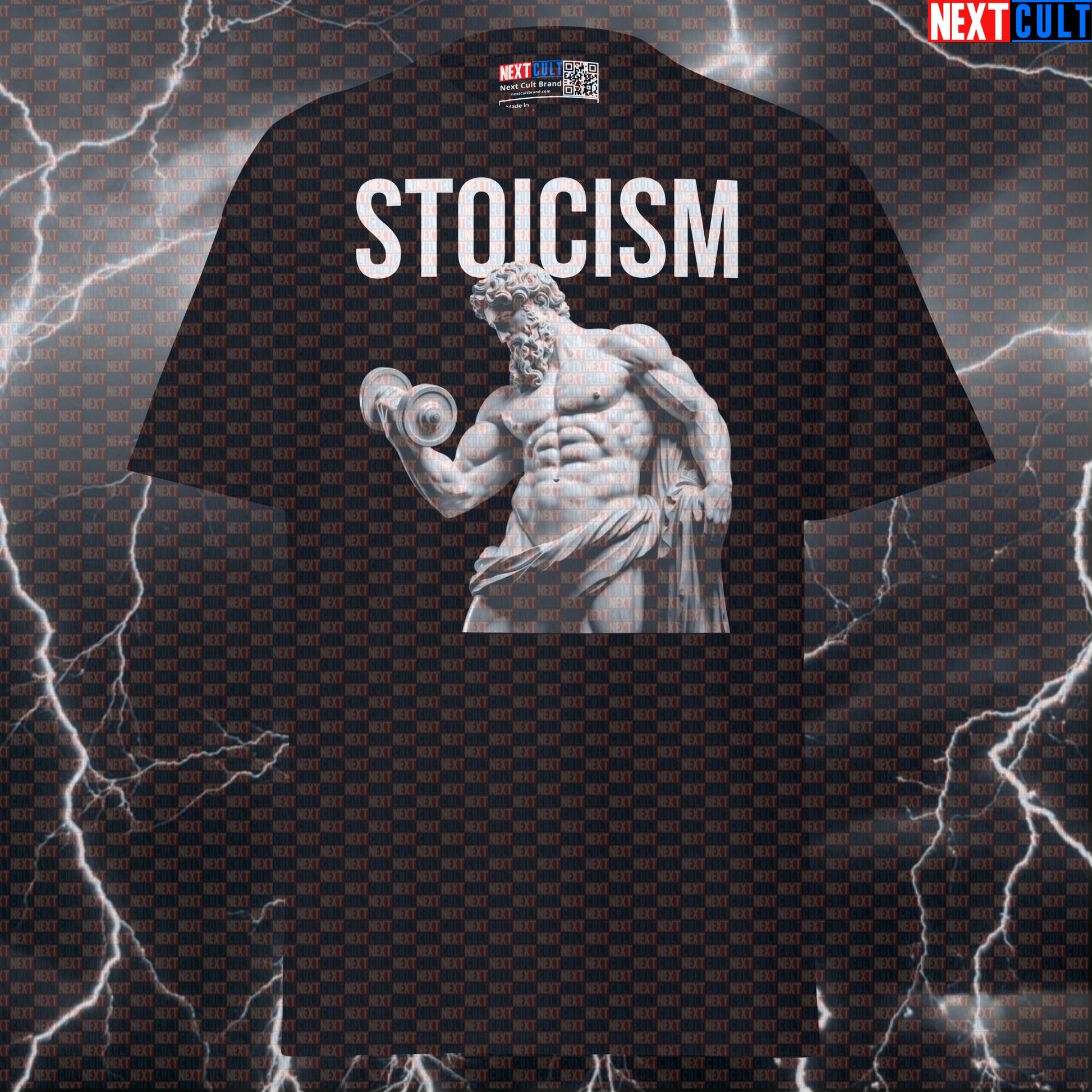 Stoicism Lifting Gains T-Shirt | Funny Gym Meme Pump Cover with Greek God Marble Sculpture Design T-shirts Ancient Greece Bodybuilding Fitness Gym Pump Cover Stoicism Workout Next Cult Brand