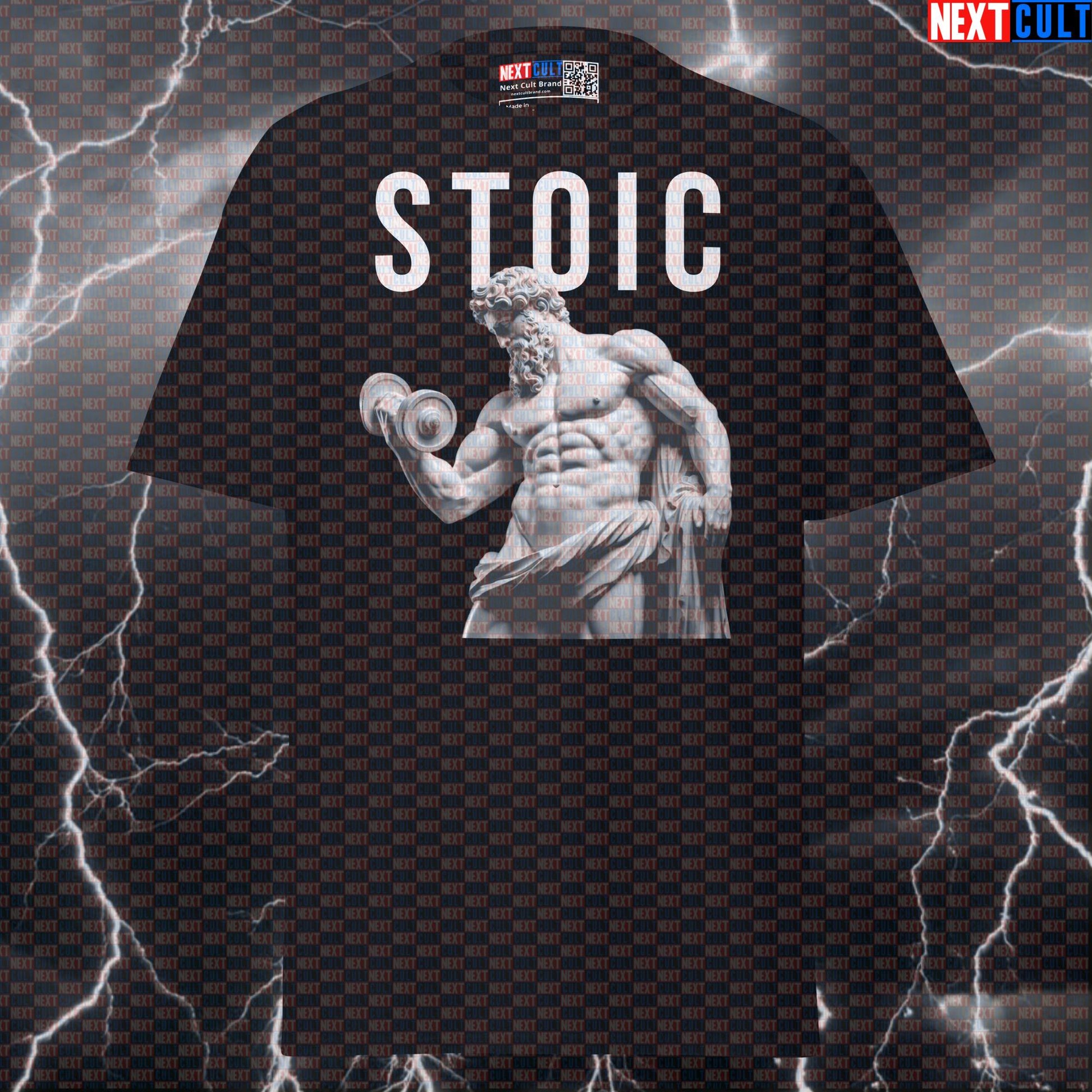 Stoic Sigma Bodybuilder Marble Sculpture Graphic Tee - Funny Gym Meme Pump Cover T-Shirt T-shirts Ancient Greece Bodybuilding Fitness Gym Pump Cover Stoicism Workout Next Cult Brand