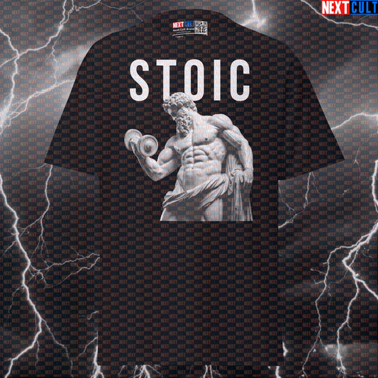 Stoic Sigma Bodybuilder Marble Sculpture Graphic Tee - Funny Gym Meme Pump Cover T-Shirt T-shirts Ancient Greece Bodybuilding Fitness Gym Pump Cover Stoicism Workout Next Cult Brand