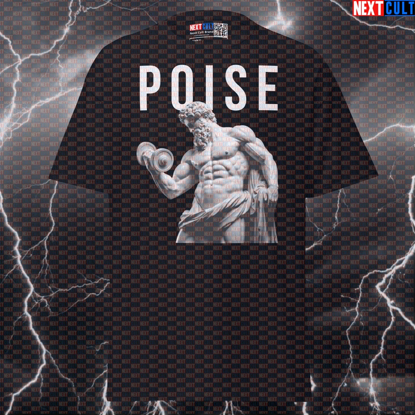 Poise of the Stoic Lifter: Sigma Bodybuilder Greek God Marble Sculpture Graphic Tee Pump Cover T-shirts Ancient Greece Bodybuilding Fitness Gym Pump Cover Stoicism Workout Next Cult Brand