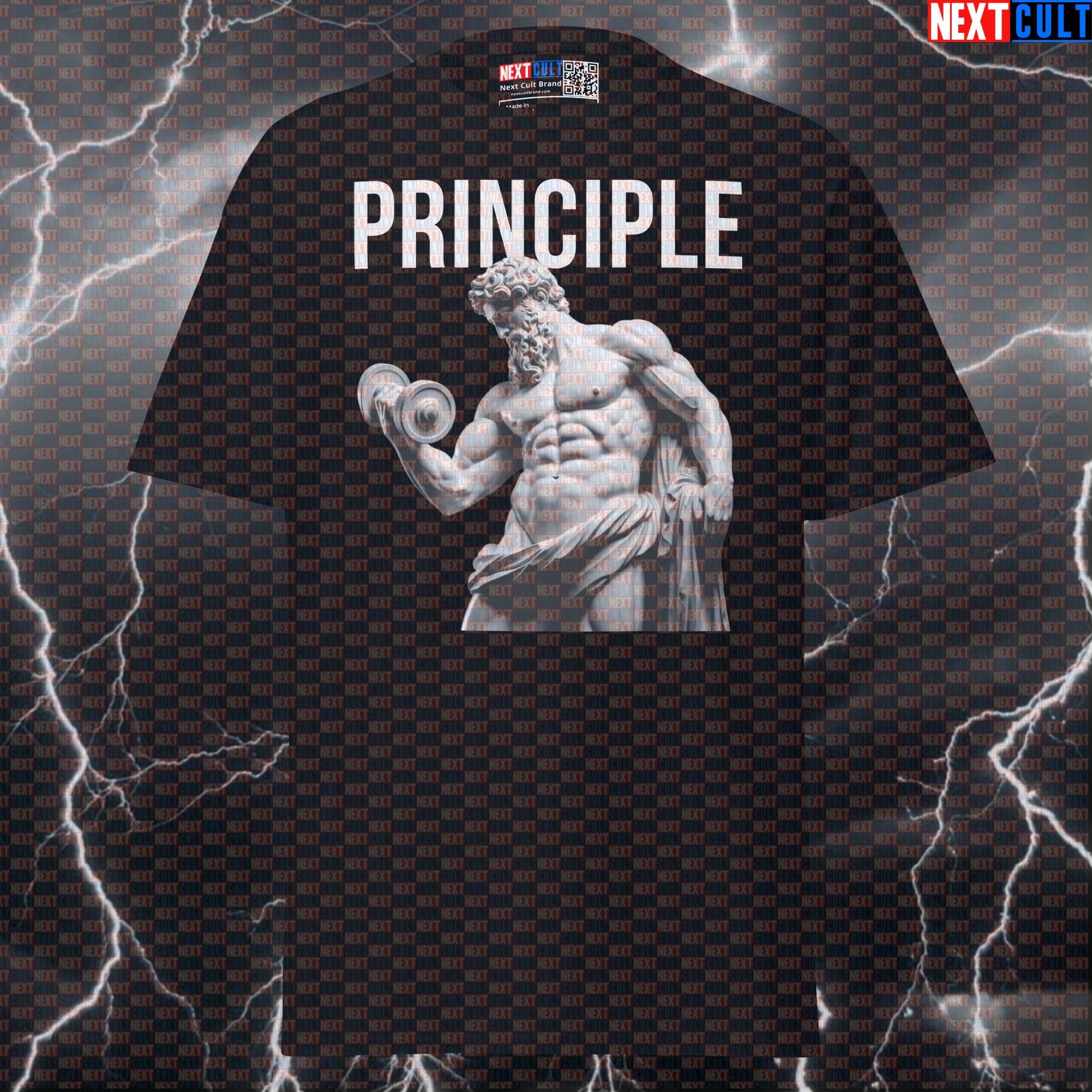 Principle Stoic Bodybuilder T-Shirt - Funny Gym Meme Tee & Greek God Pump Cover Top T-shirts Ancient Greece Bodybuilding Fitness Gym Pump Cover Stoicism Workout Next Cult Brand