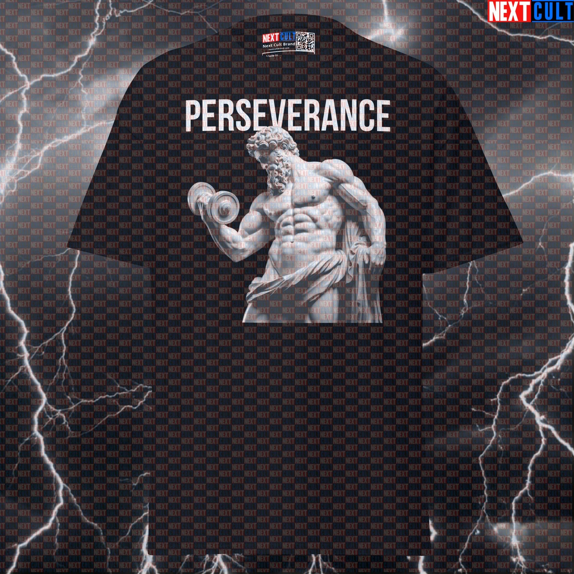 Perseverance Stoic Sigma Bodybuilder Greek God Marble Sculpture Funny Gym T-Shirt Pump Cover T-shirts Ancient Greece Bodybuilding Fitness Gym Pump Cover Stoicism Workout Next Cult Brand